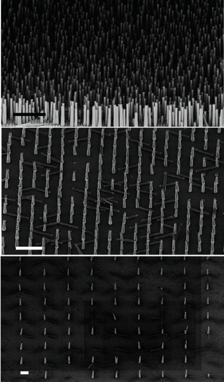 20170329_lednanopillar_NT01P2