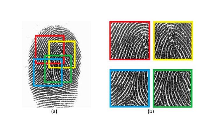 20170417_Fingerprint_NT01P1