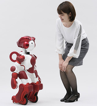 robot17120105