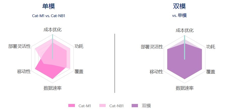 20170803-cat-m1&nb1