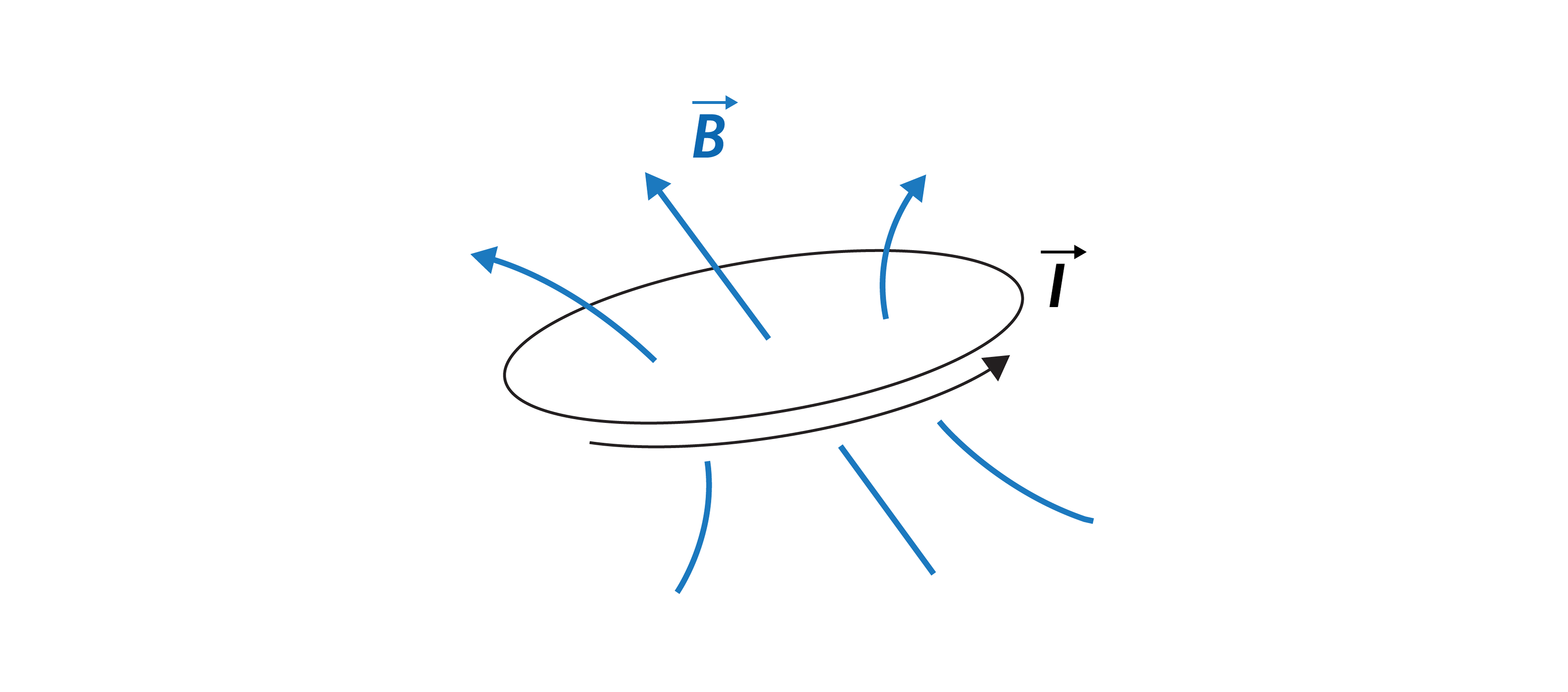 Maxim-F7-20180620