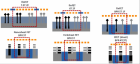 Imec 发布叉片器件仿真结果，将是 2nm 技术节点的终极方案？