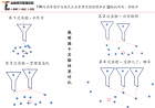 你有资格创新吗？