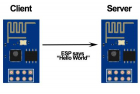 让两个ESP8266板子互相问好“Hello World!”