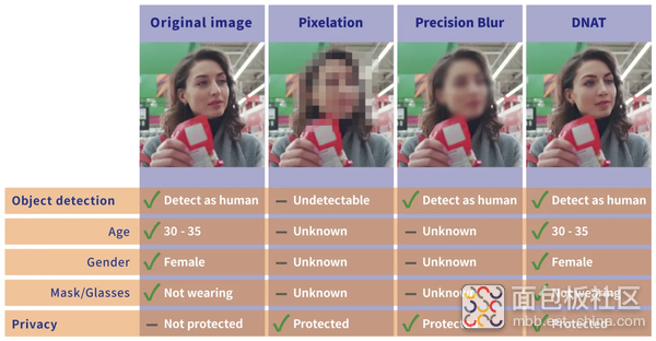 大成建设（Taisei）图像数据隐私保护与AI开发协同案例解析