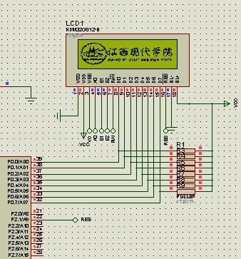 4050538c-90e4-4414-bac1-86553a7eb98c.JPG