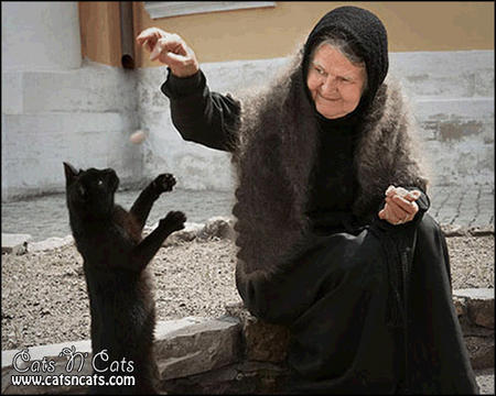 old-woman-feeding-black-cat.jpg