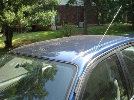 whip antenna.jpg