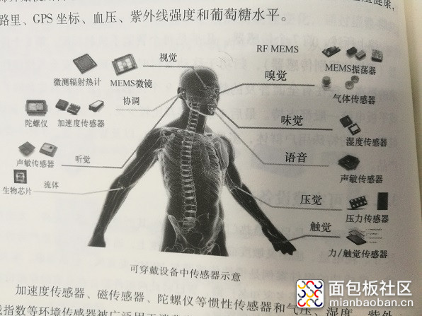 可穿戴应用.jpg