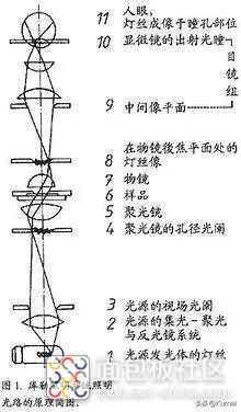 64e4c3c7ef914745a305db24cf54bc51~noop.image?_iz=58558&from=article.jpg