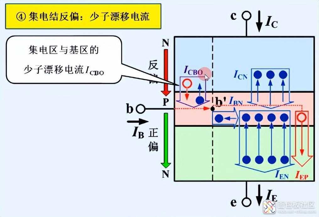 681e3f6921e145a98e45c03a90547cfd~noop.image?_iz=58558&from=article.jpg