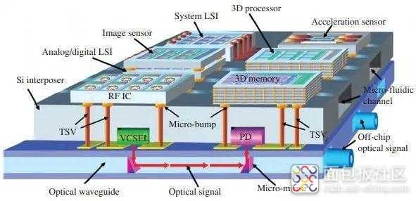 b3c6bdcb2a844169b99b2876eb330e45~noop.image?_iz=58558&from=article.jpg