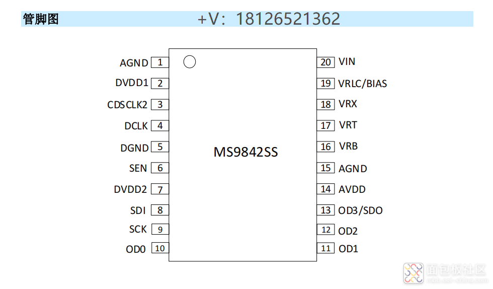 9842+.png