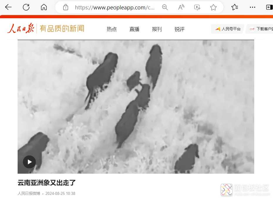 Screenshots 2024-08-25_1537.jpg