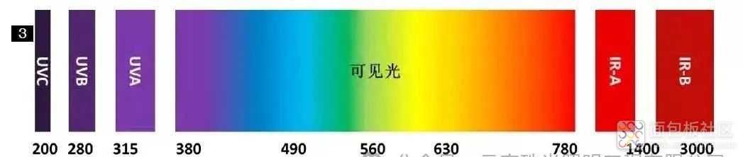 000003.jpg